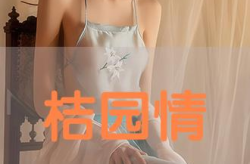 欧美情趣人妖丁字裤hd,时尚与性感的完美融合